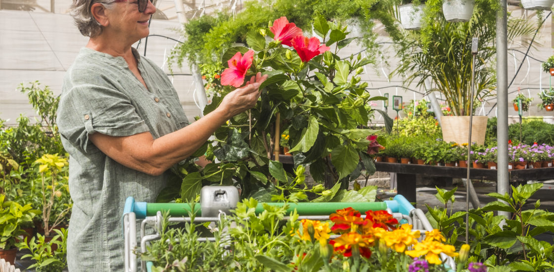 A 72-year-old cashier at a Home Depot in San Ramon, California, was fired after an aggressive customer pressured her into completing a fraudulent transaction.